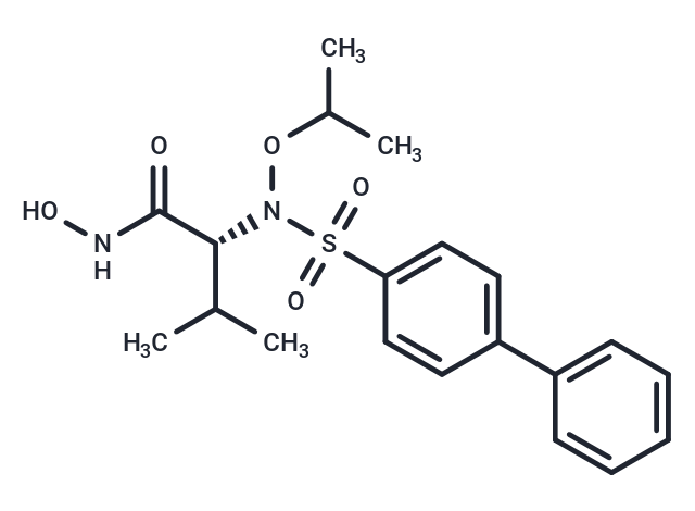 ARP 101