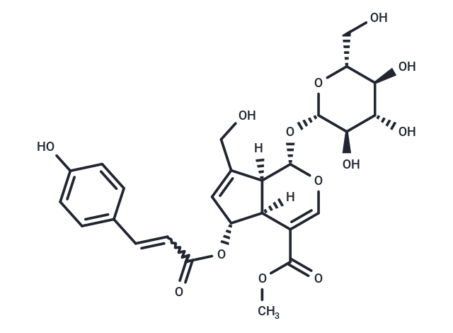 (E)-6-O-(p-coumaroyl)scandoside methyl ester