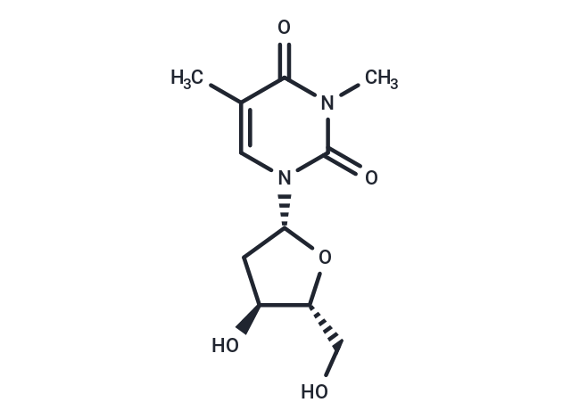 N3-Methylthymidine