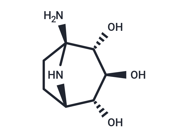 Calystegine N1