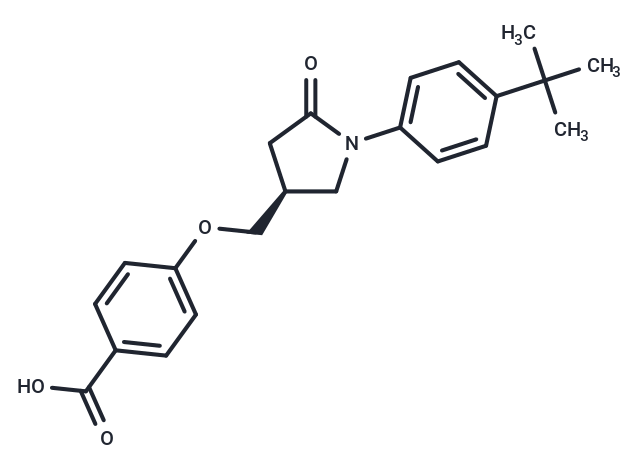 S-2E