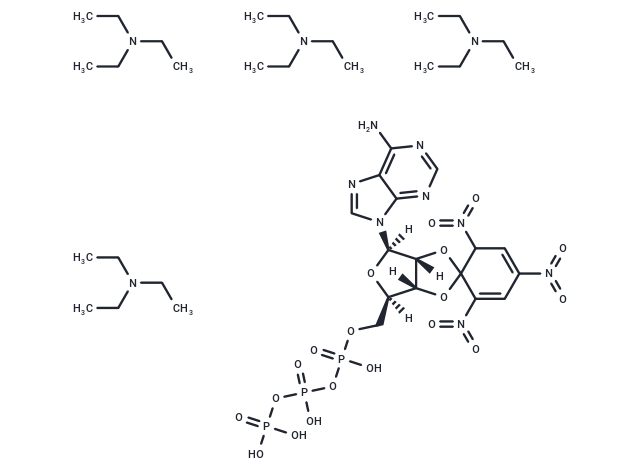 TNP-ATP triethylammonium salt