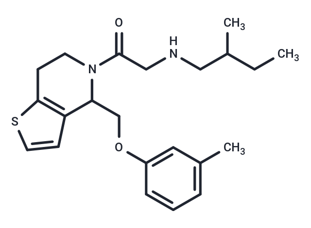 RU-SKI 43