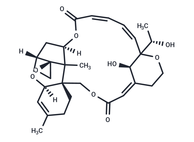 Satratoxin H