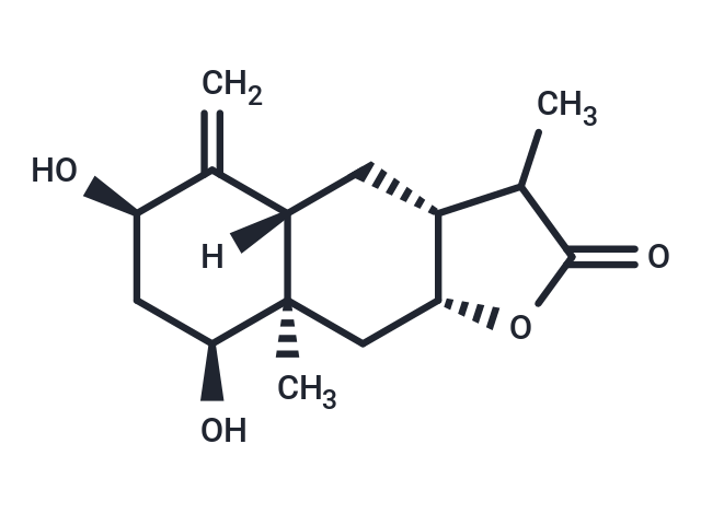 Ashurbin