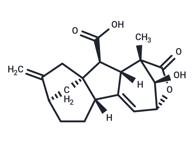 13-Deoxy-Isogibberellic acid