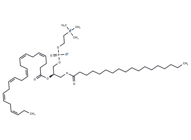 1-Stearoyl-2-docosahexaenoyl-sn-glycero-3-PC