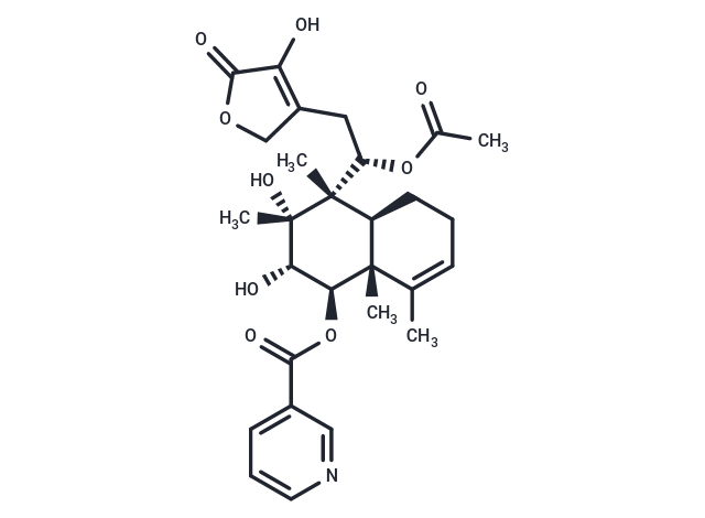 Scutebata C