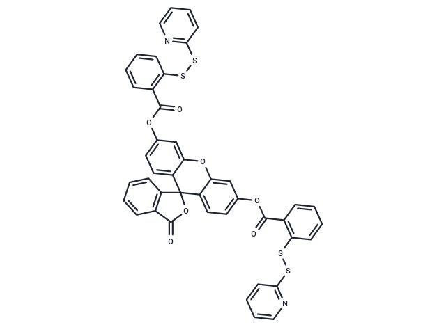 WSP-5