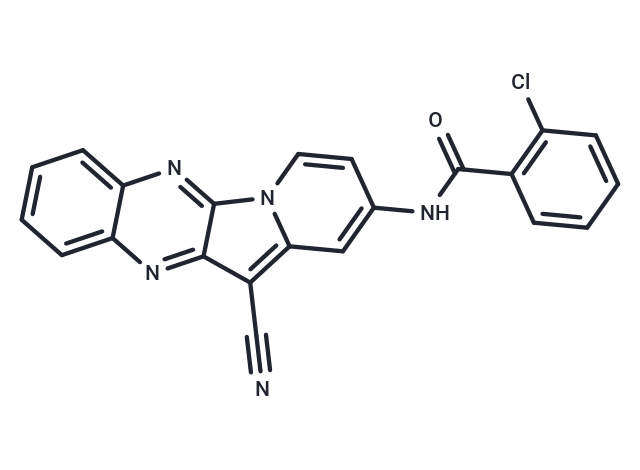 CInQ-03