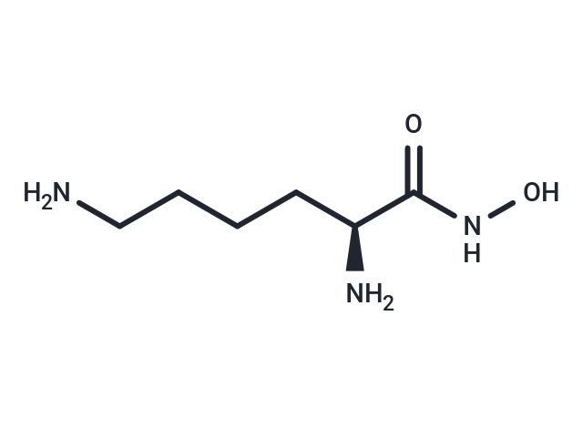 Lysine hydroxamate