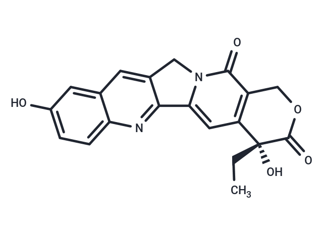 9-Hydroxycamptothecin