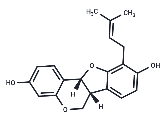 Phaseollidin