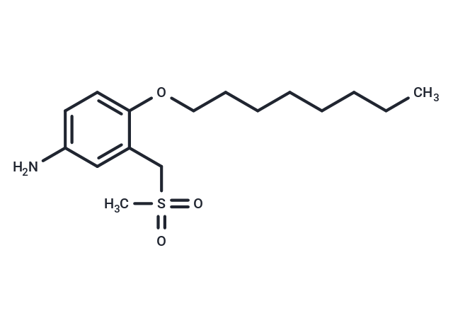 m-Toluidine, alpha-(methylsulfonyl)-4-octyloxy-