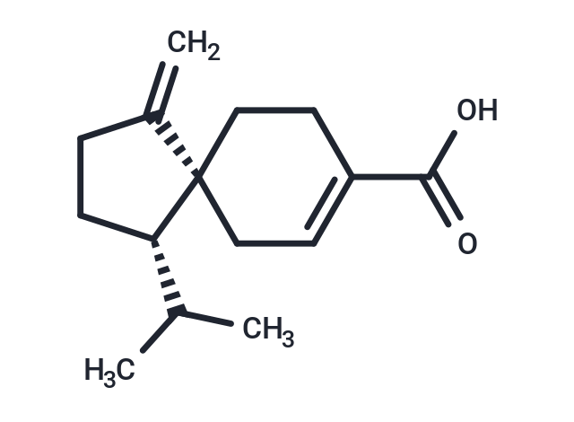 Schisansphenin B