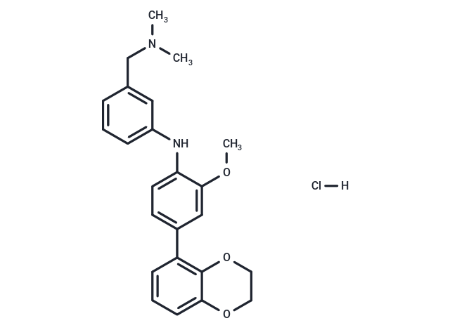 Compound 3344 hydrochloride