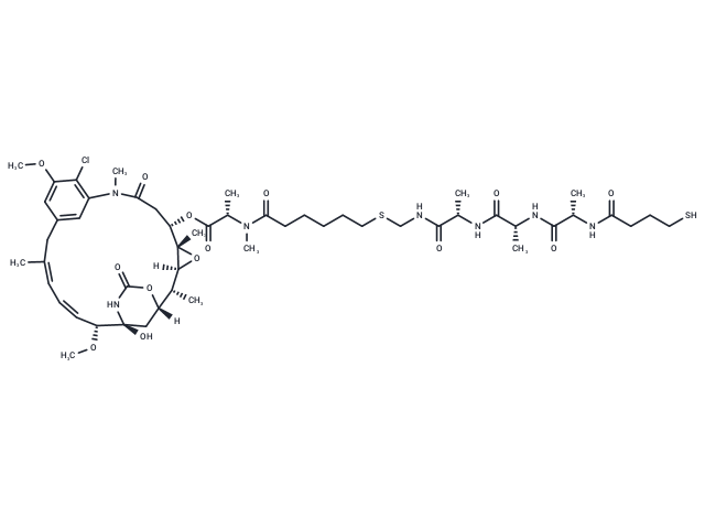 HS-(CH2)3CO-L-Ala-D-Ala-L-Ala-NH-CH2-S-(CH2)5-CO-DM