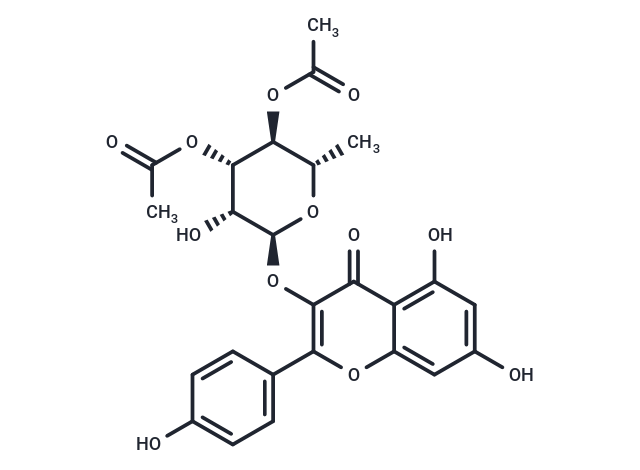 SL 0101-1