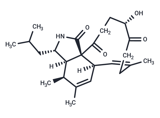 Aspochalasin M