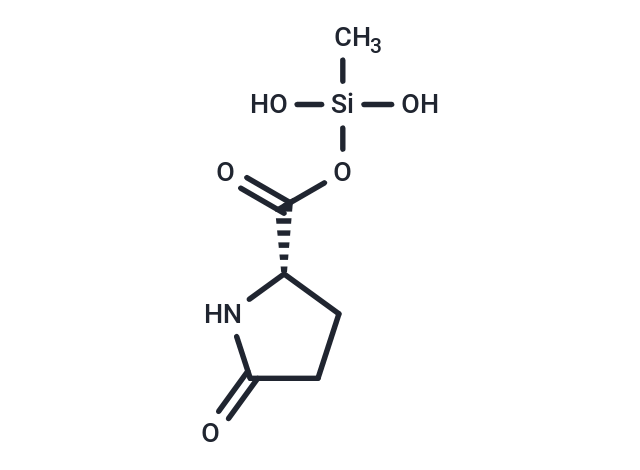 Methylsilanol PCA