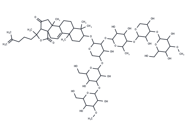 Holotoxin A1