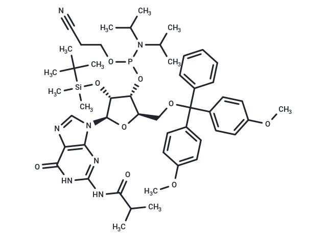 I-bu-rG Phosphoramidite