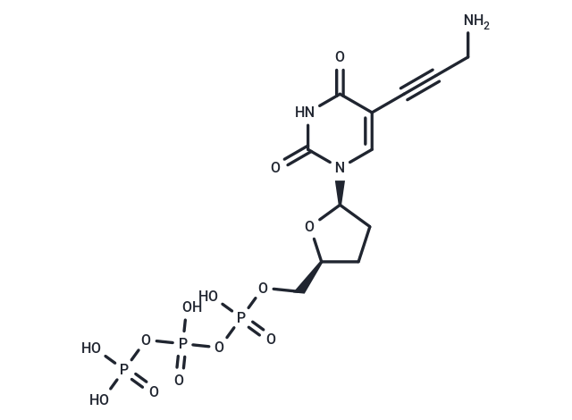 5-Propargylamino-ddUTP