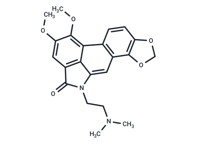 RJ-34