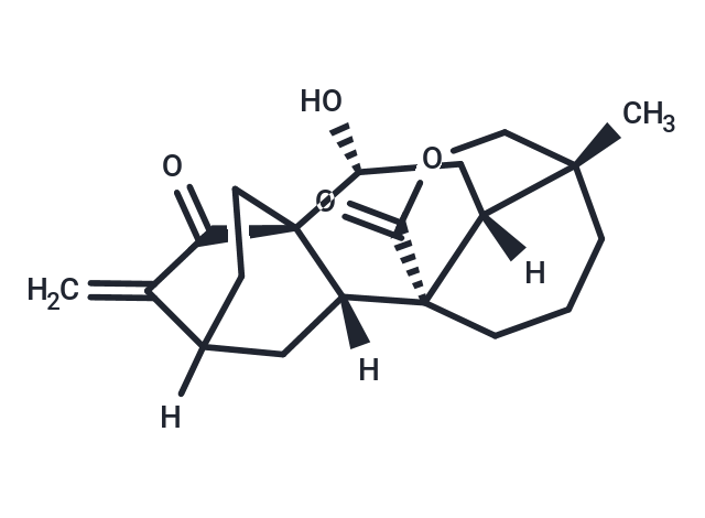 NC043