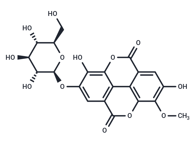 Stachyanthuside A