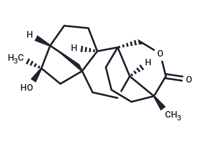 Tripterifordin