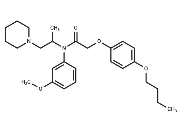 Acetamide, N-(m-anisyl)-2-(p-butoxyphenoxy)-N-(1-methyl-2-piperidino)ethyl-