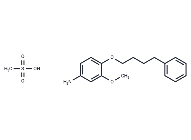 m-Anisidine, 4-(4-phenylbutoxy)-, methanesulfonate