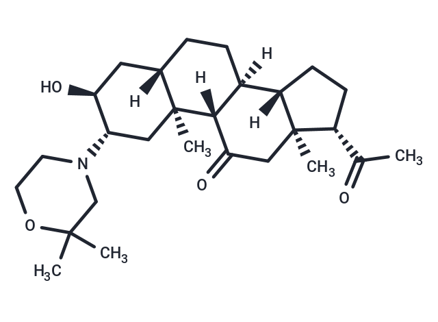 Org-21465