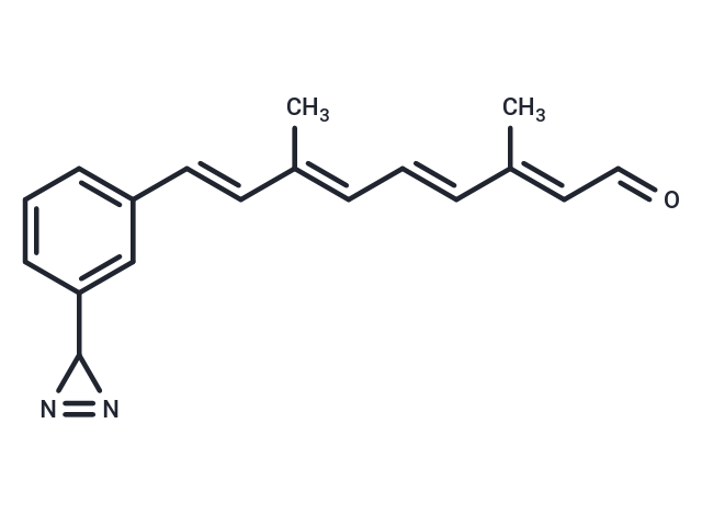 3-Diazirinophenylretinal