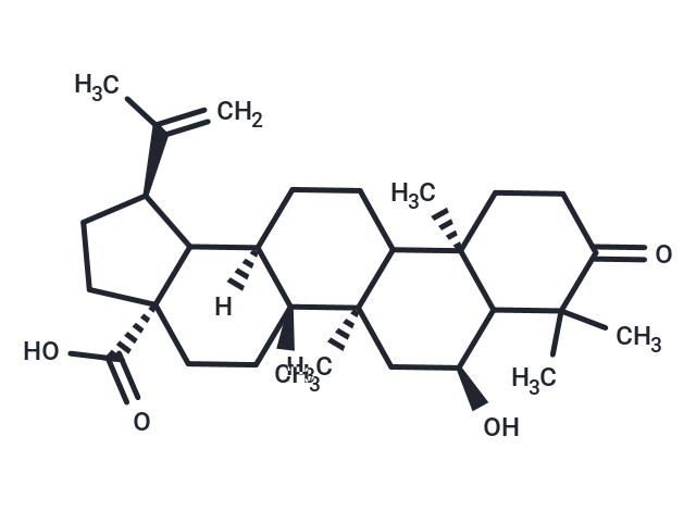 6-Hydroxy-3-oxo-20(29)-lupen-28-oic acid