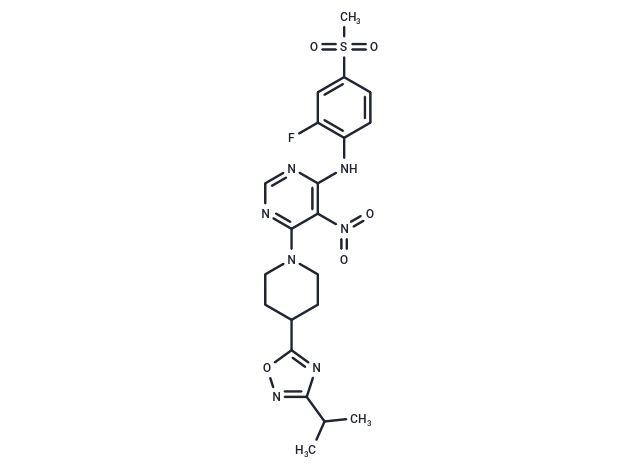 AR 231453