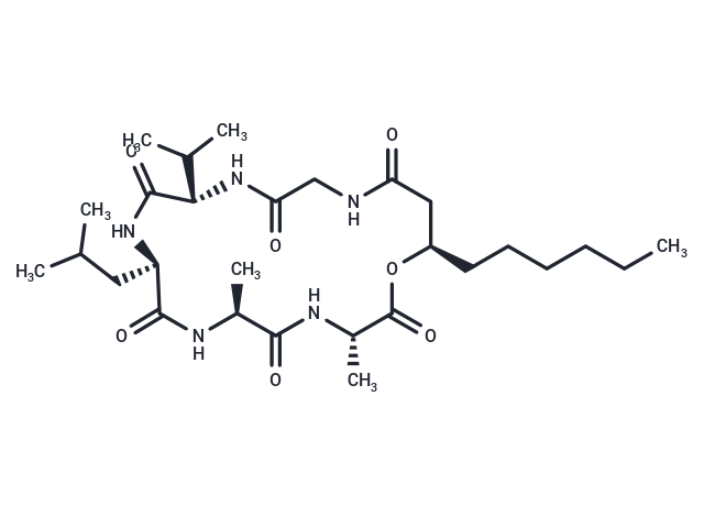 Isariin C