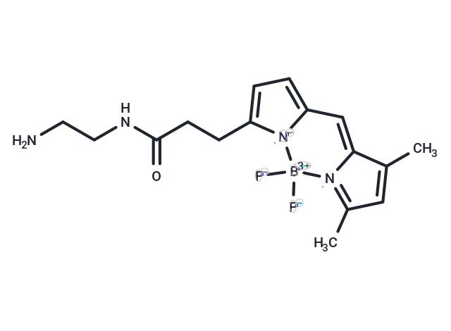 BODIPY FL EDA free base