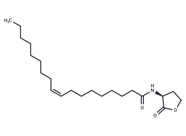 N-cis-octadec-9Z-enoyl-L-Homoserine lactone