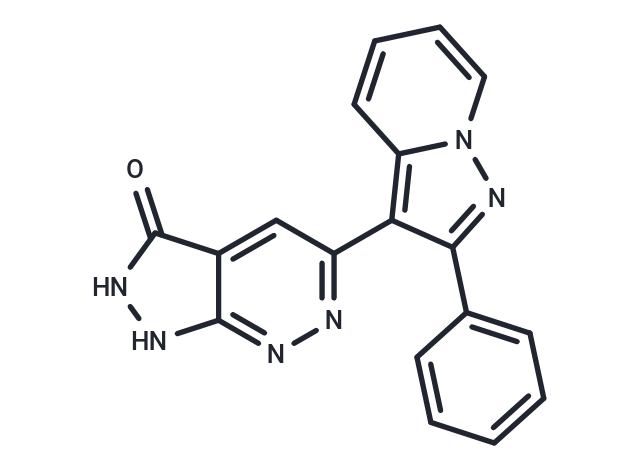 ERK Inhibitor II (Negative control)