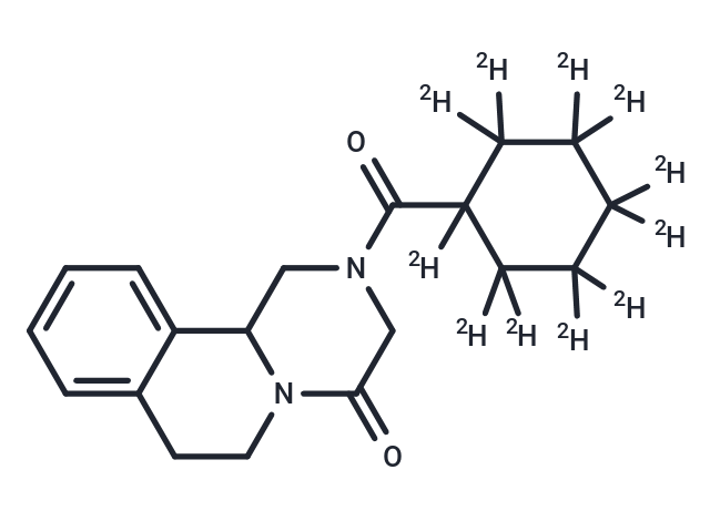 Praziquantel D11