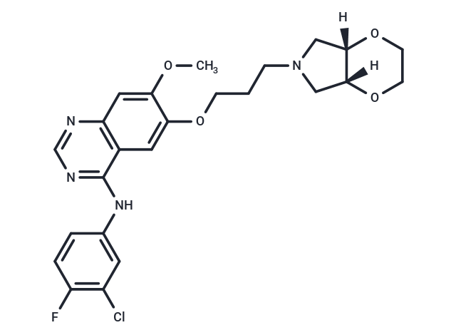 Larotinib