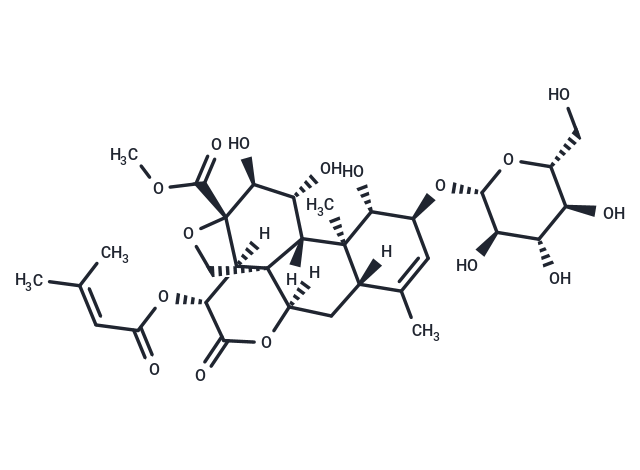 Yadanzioside E