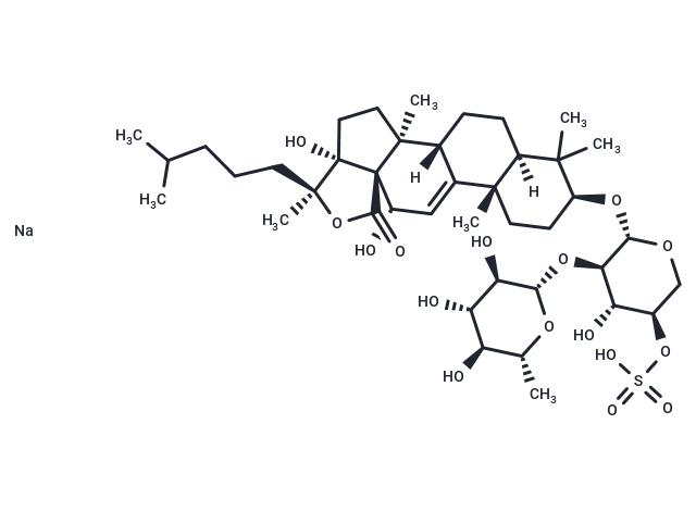 Echinoside B