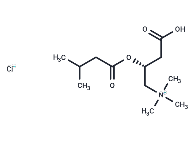 Isovaleryl-L-carnitine (chloride)