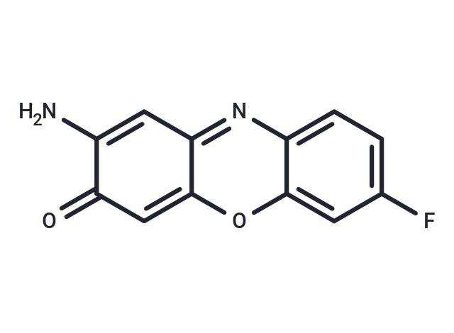 Questiomycin A derivatives 21