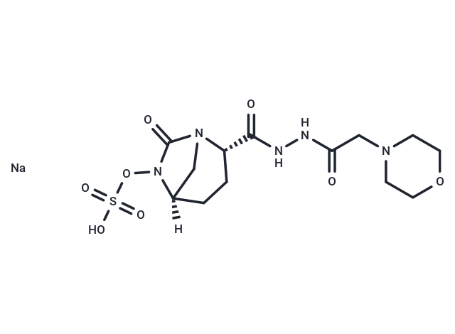 Antibacterial agent 51