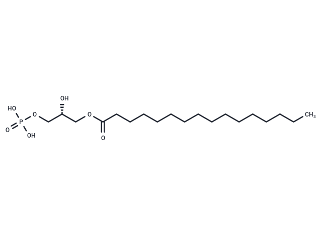 1-Palmitoyl-sn-glycerol 3-phosphate