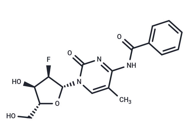 2’-Deoxy-2’-fluoro-N4-benzoyl-5-methylcytidine